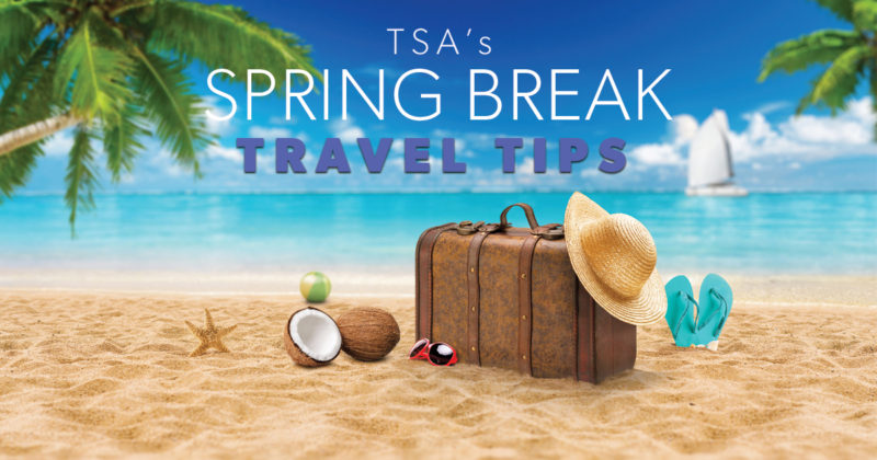 spring break travel programs